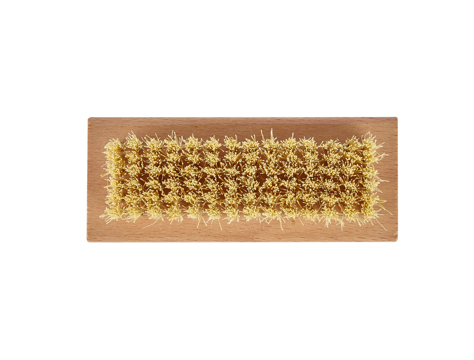 Nail Brush - Eco-friendly, Plastic Free, - Image 2