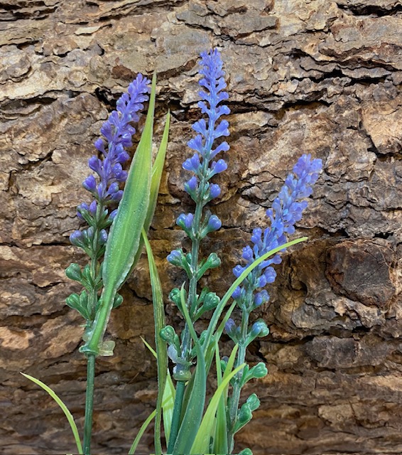 Lavender Collection